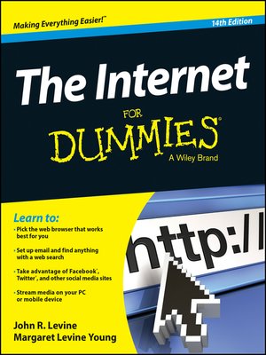 cover image of The Internet For Dummies